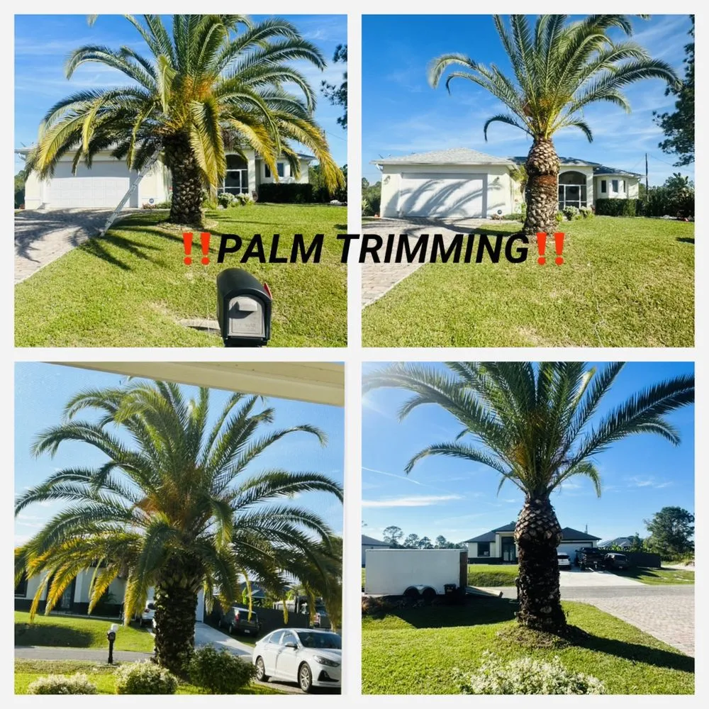 Trusted garden landscaping for homes across Fort Myers, FL - Diego Brothers Lawnscaping Services