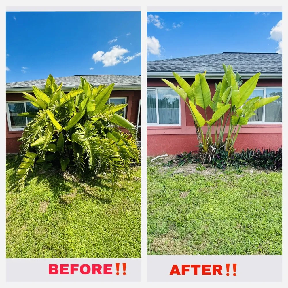 Trusted outdoor landscaping with custom design across Fort Myers, FL - Diego Brothers Lawnscaping Services