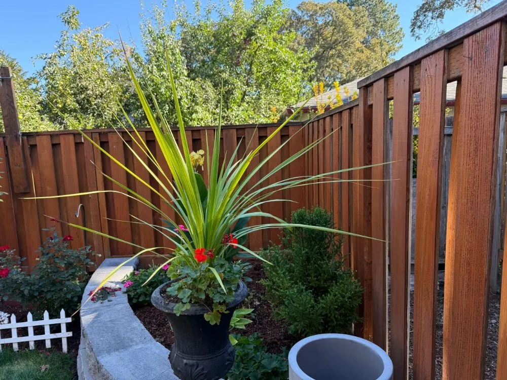 Expert garden landscaping with custom design across Beaverton, OR - Diego Lawn Care Services