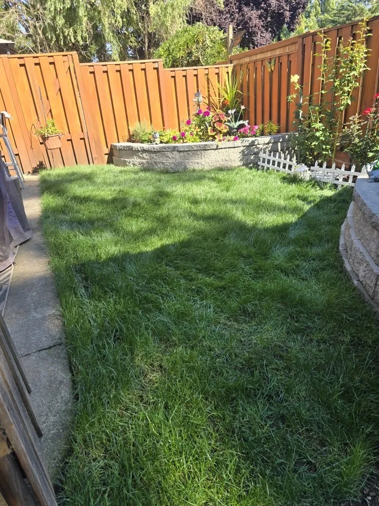 Trusted yard maintenance for outdoor upgrades in Beaverton, OR by Diego Lawn Care Services