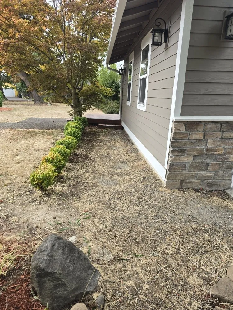 Reliable yard cleanup service in Beaverton, OR - Diego Lawn Care Services