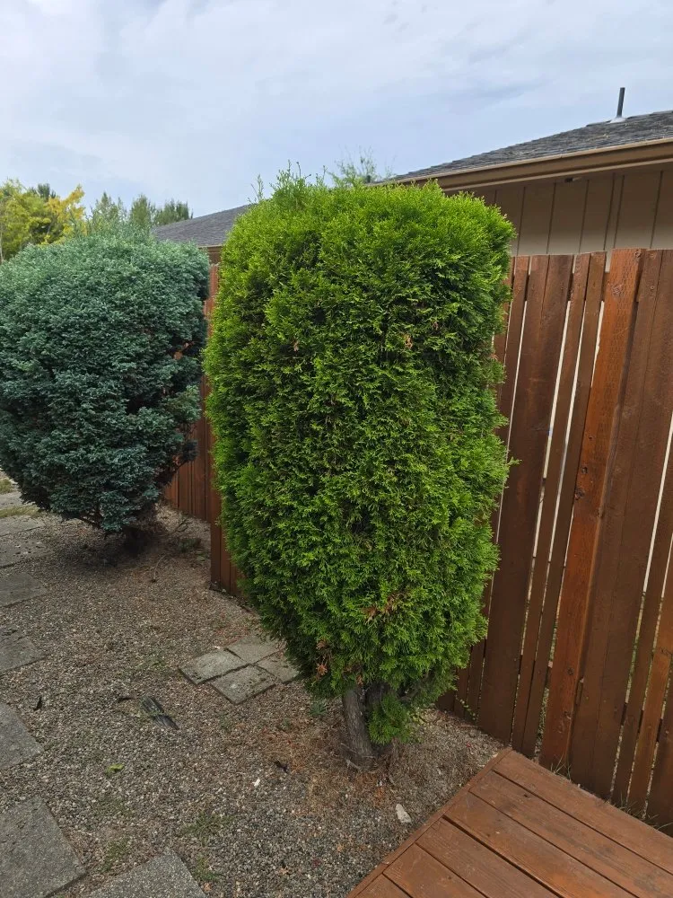 Expert lawn mowing service for residential properties across Beaverton, OR - Diego Lawn Care Services