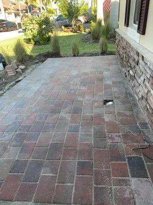 Diego Mendoza Landscaping & Tree Services Logo