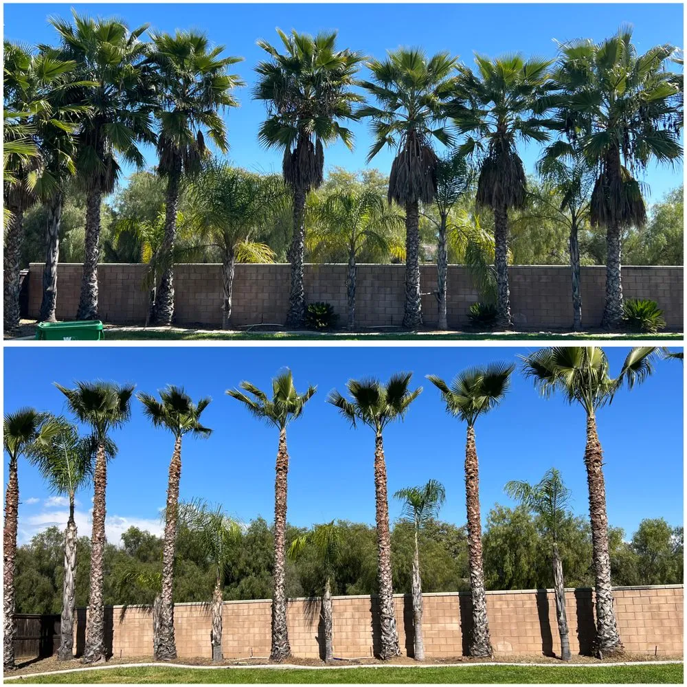 Expert residential landscaping in Canyon Lake, CA - Diego Tree Service