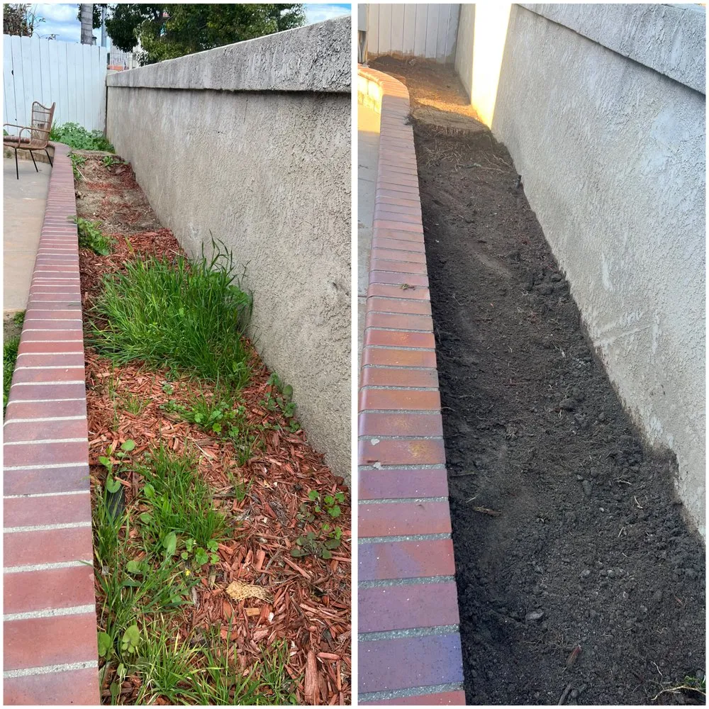 Trusted lawn care service in Canyon Lake, CA by Diego Tree Service