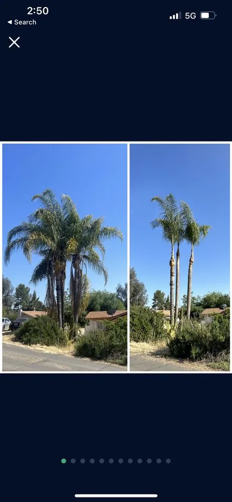 Custom garden landscaping for outdoor upgrades across Canyon Lake, CA - Diego Tree Service