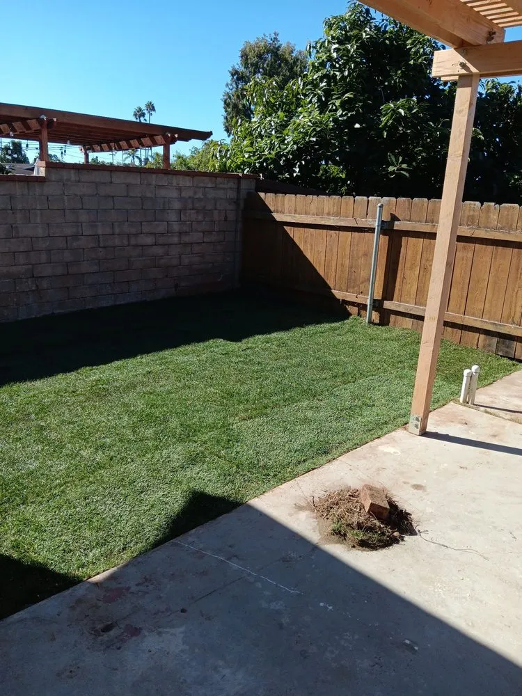 Trusted yard cleanup service with custom design in San Diego, CA by Diego's Landscaping & Construction