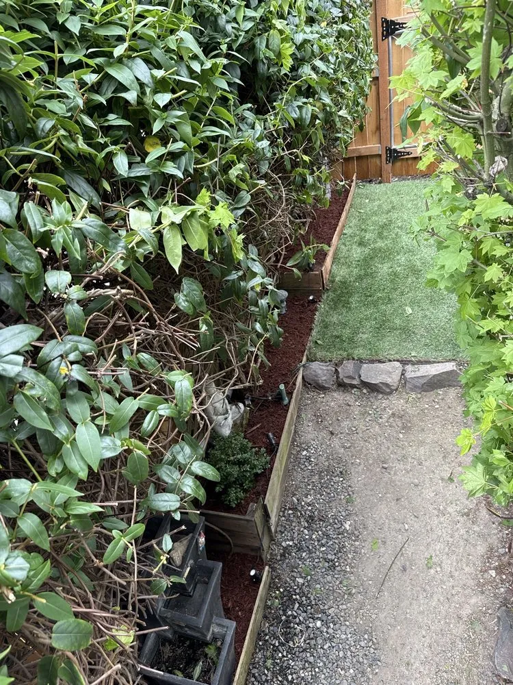 Affordable landscape installation for homes across Kent, WA - Diego’s Landscaping & Painting