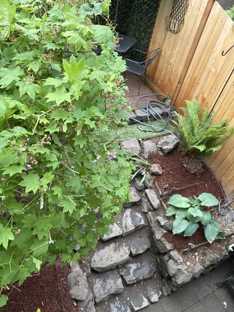 Local yard cleanup service with custom design in Kent, WA by Diego’s Landscaping & Painting