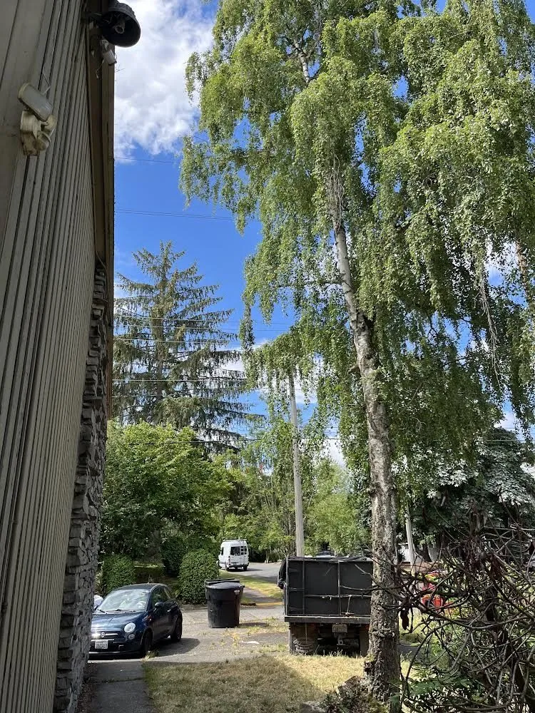 Reliable lawn mowing service with custom design across Kent, WA - Diego’s Landscaping & Painting