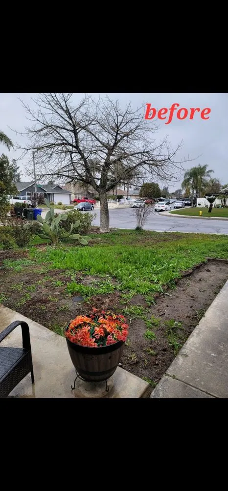 Top-rated outdoor landscaping experts serving Riverside, CA - Diego’s Landscaping & Tree Care Services