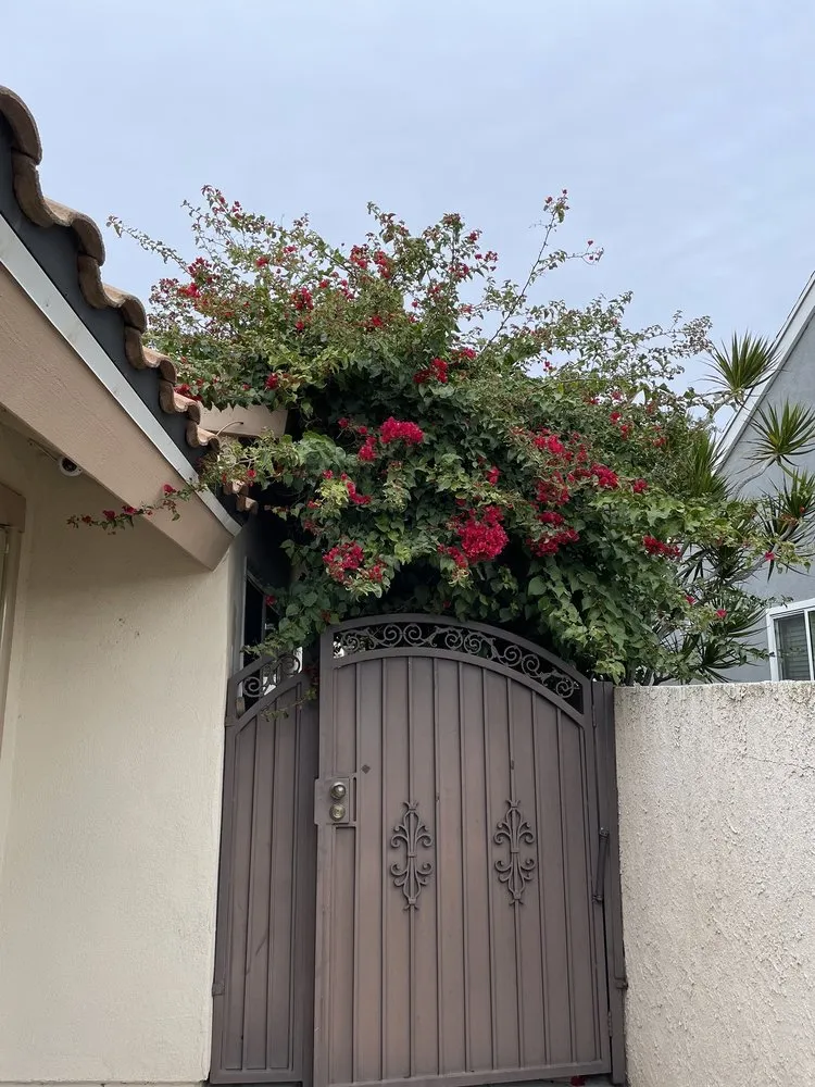 Top-rated landscape installation in Riverside, CA by Diego’s Landscaping & Tree Care Services