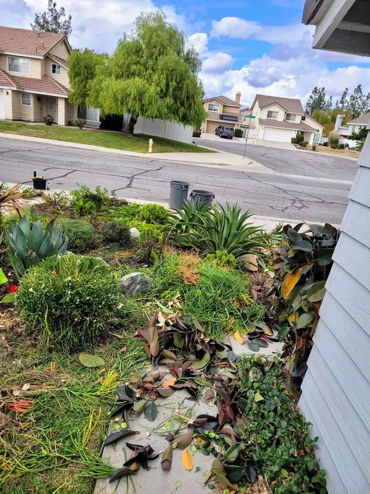 Local lawn mowing service for residential properties across Riverside, CA - Diego’s Landscaping & Tree Care Services