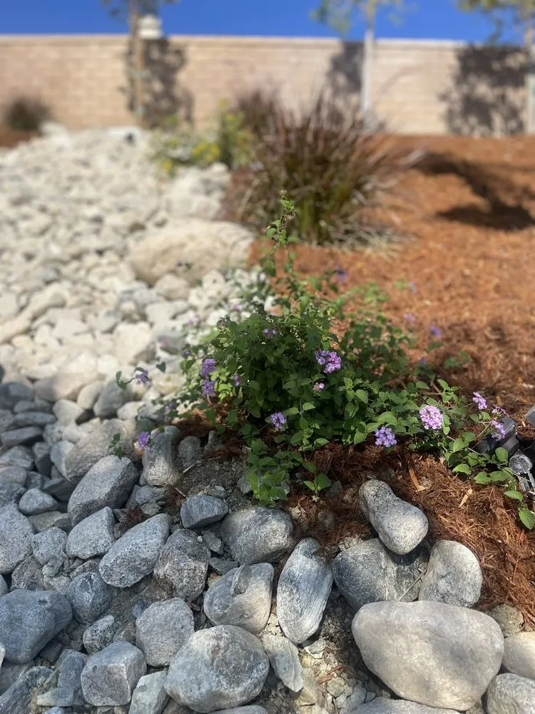 Local landscaping services in Riverside, CA - Diego’s Landscaping & Tree Care Services