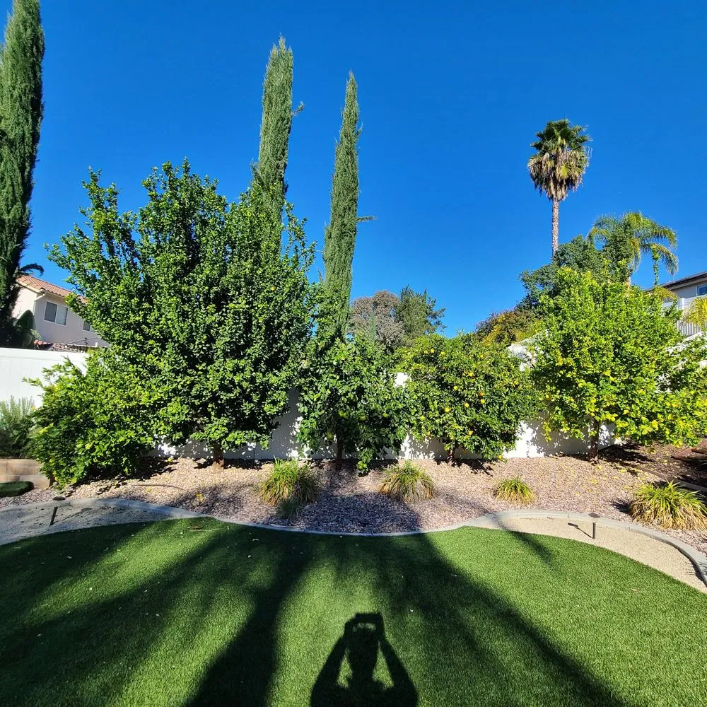 Local landscape design experts serving Riverside, CA - Diego’s Landscaping & Tree Care Services