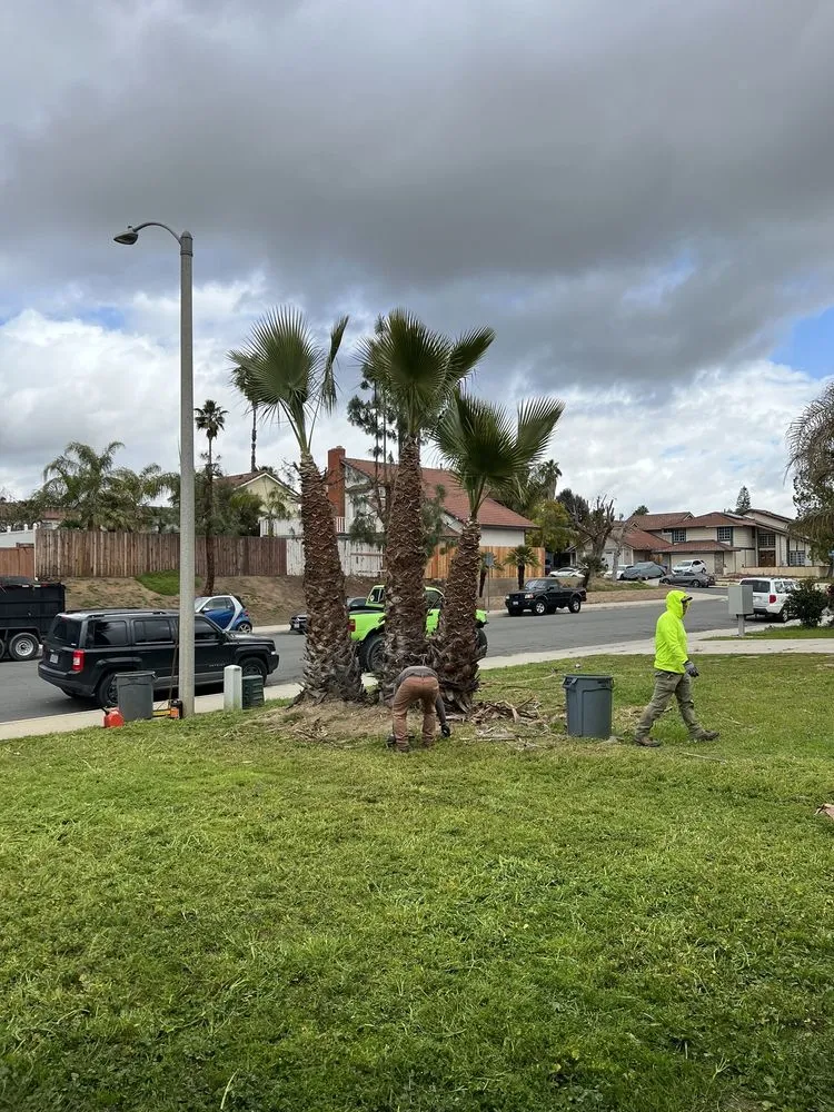 Reliable residential landscaping for outdoor upgrades in Riverside, CA by Diego’s Landscaping & Tree Care Services