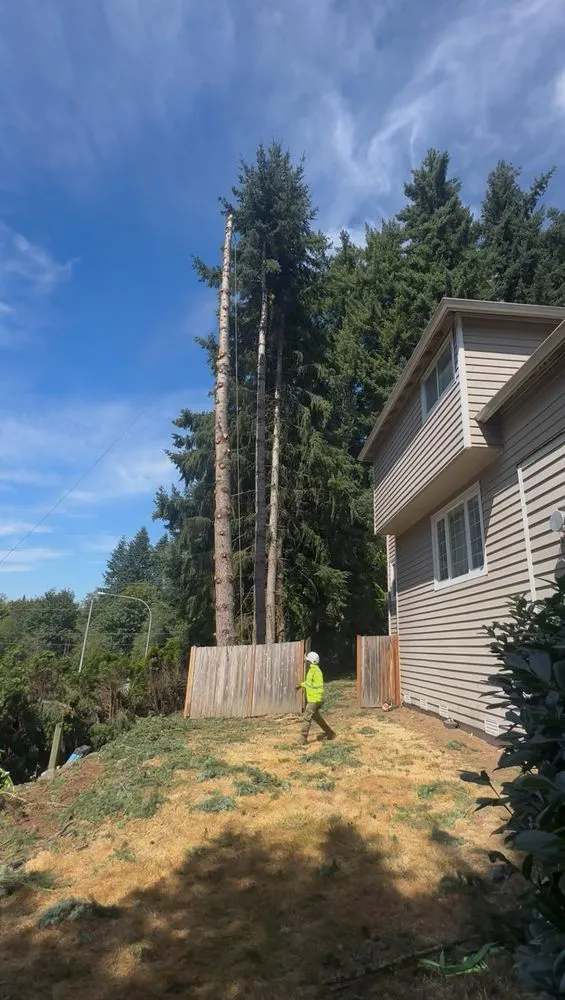 Top-rated landscape installation in Bellevue, WA - Diego's Landscaping & tree service
