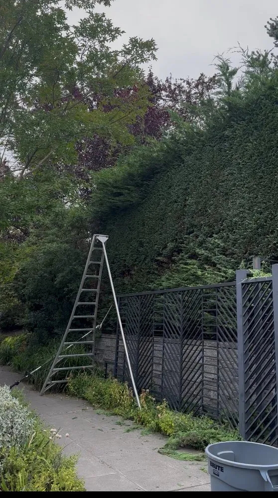 Affordable landscape design near you across Bellevue, WA - Diego's Landscaping & tree service