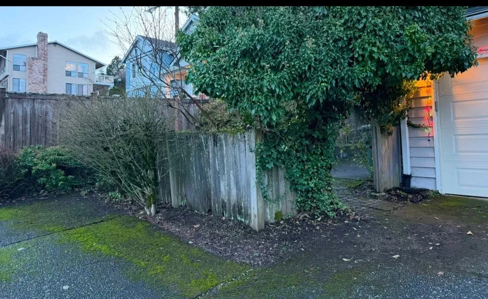 Top-rated landscape design in Bellevue, WA - Diego's Landscaping & tree service