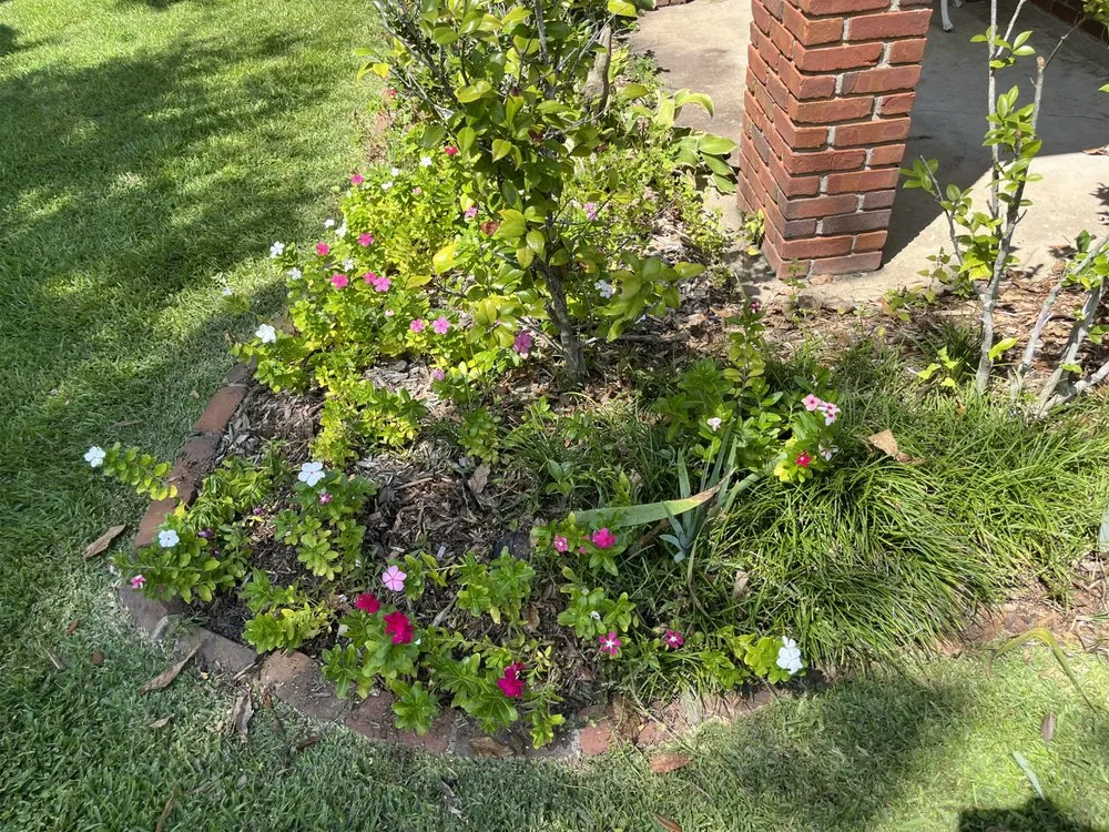Local lawn mowing service in Clayton, LA by Diegos Landscaping