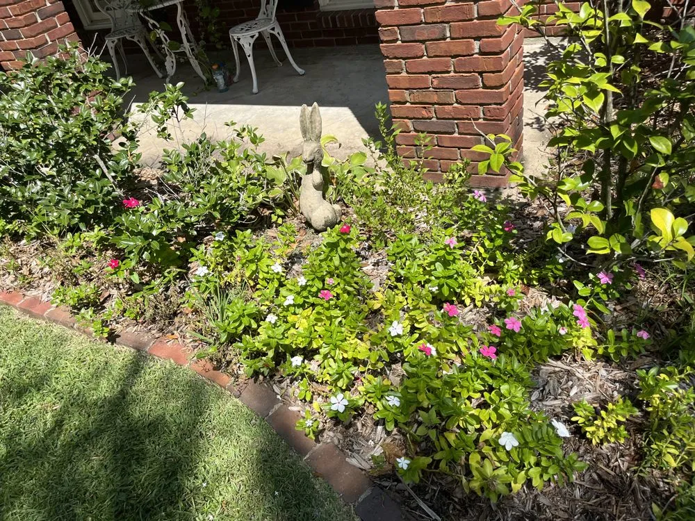 Local lawn care service experts serving Clayton, LA - Diegos Landscaping