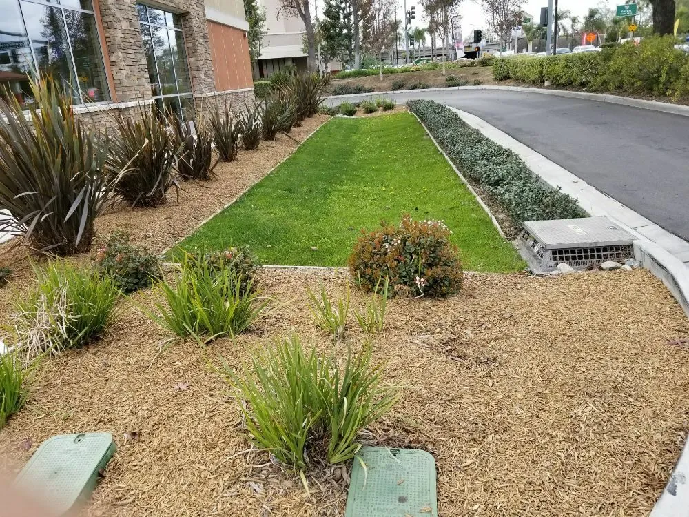 Reliable lawn care service in Fontana, CA by Diego's Landscaping