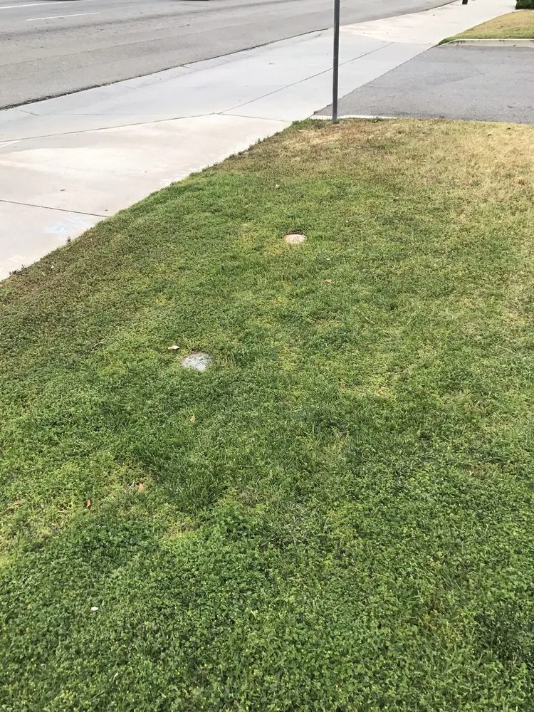 Expert garden landscaping in Fontana, CA by Diego's Landscaping