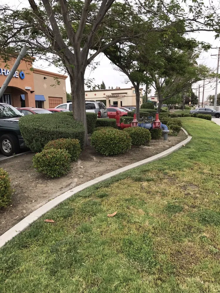 Top-rated landscape design in Fontana, CA by Diego's Landscaping