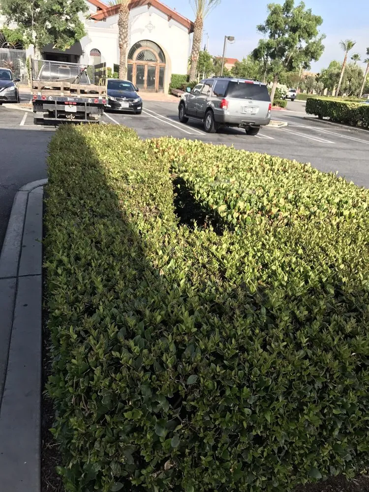 Custom residential landscaping in Fontana, CA by Diego's Landscaping