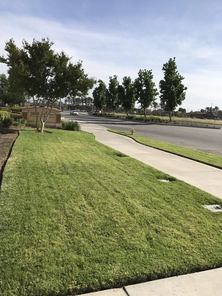 Affordable landscape design for homes in Fontana, CA by Diego's Landscaping