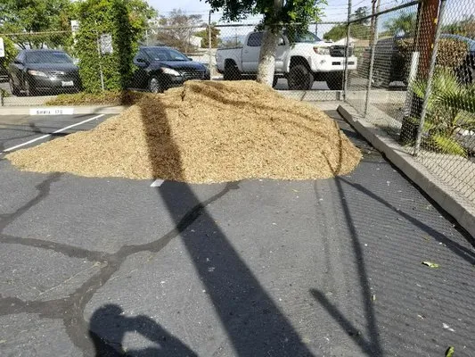 Diego's Landscaping Logo