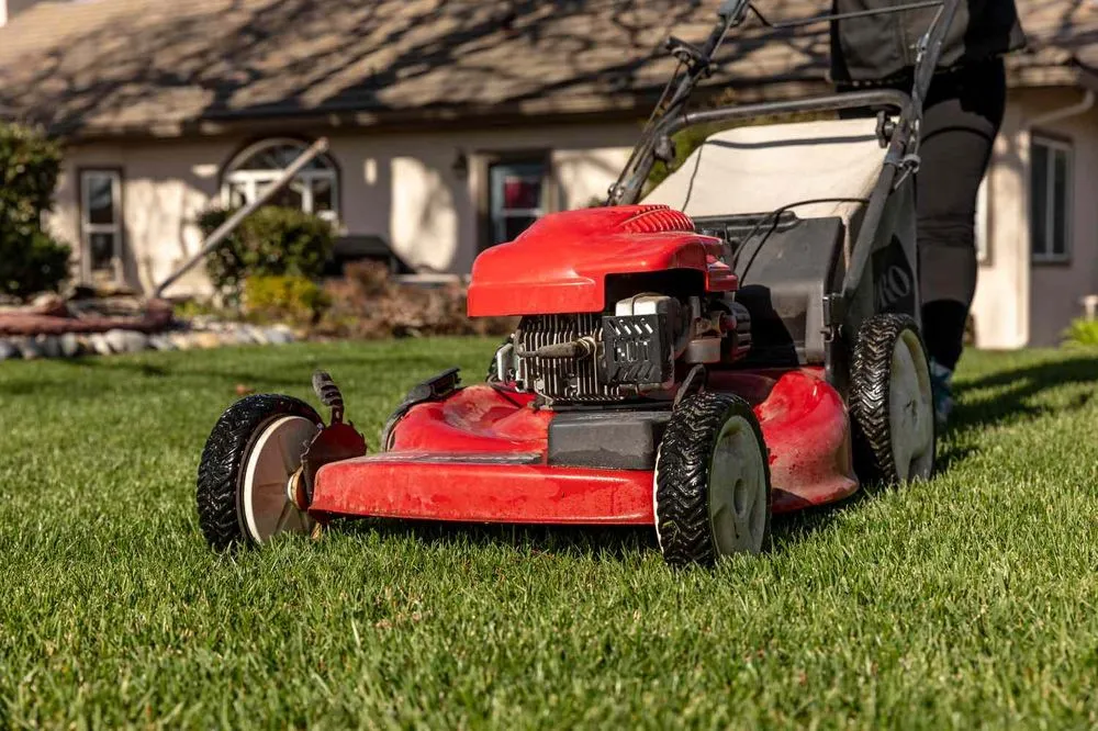 Custom lawn mowing service for beautiful yards across Green Cove Springs, FL - Diego's Landscaping