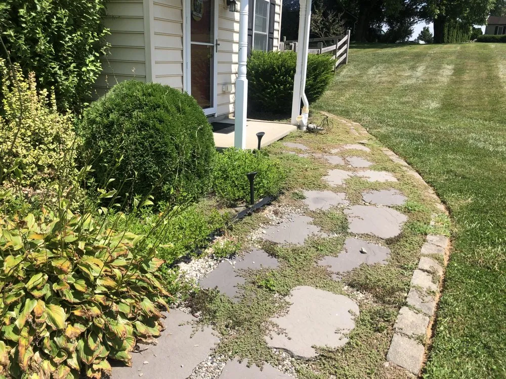 Expert landscaping services in Lincoln University, PA - Diego’s Landscaping