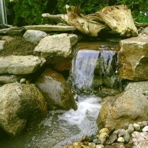 Affordable lawn mowing service for residential properties across Roseville, MI - Diegos Landscaping LLC