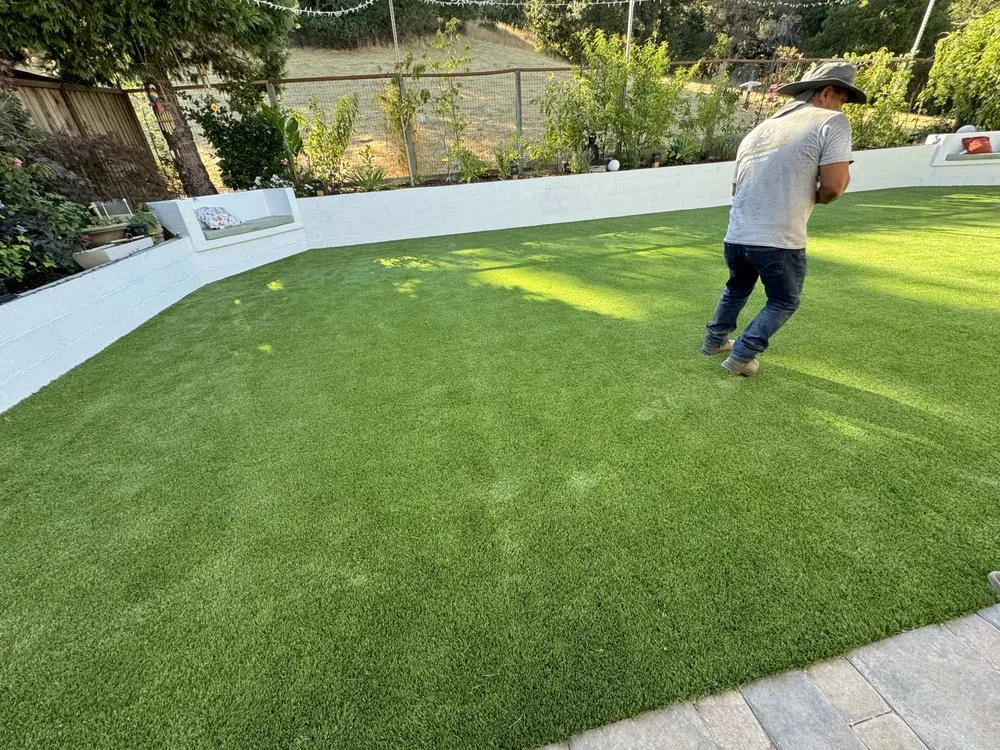 Local yard cleanup service for residential properties in Novato, CA by Diegos Landscaping