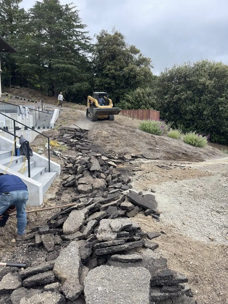 Top-rated yard cleanup service in Novato, CA by Diegos Landscaping