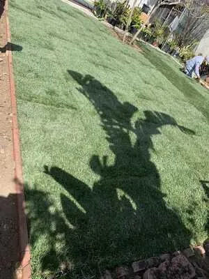 Expert landscape installation experts serving Oceanside, CA - Diegos Landscaping