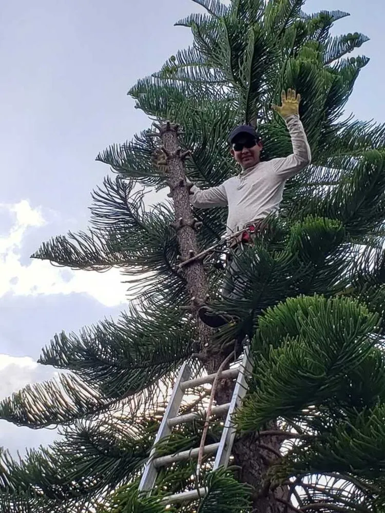 Professional lawn mowing service in Oceanside, CA - Diegos Landscaping