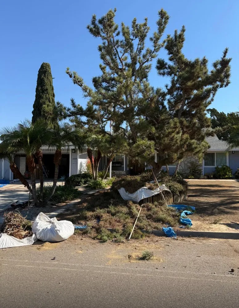 Professional garden landscaping with custom design in Oceanside, CA by Diegos Landscaping