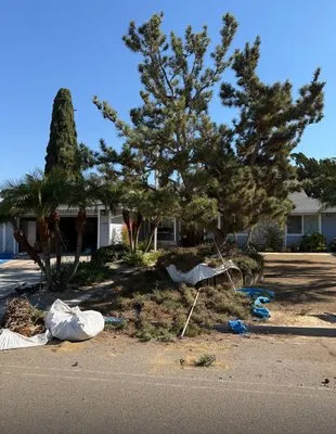 Diegos Landscaping Logo