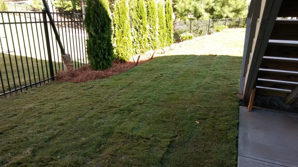 Custom lawn care service in Loganville, GA by Diego's Lanscaping