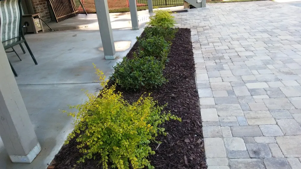 Top-rated lawn care service in Loganville, GA by Diego's Lanscaping