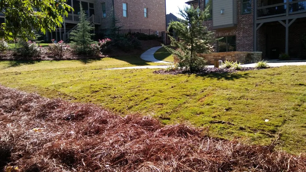 Trusted lawn care service in Loganville, GA - Diego's Lanscaping