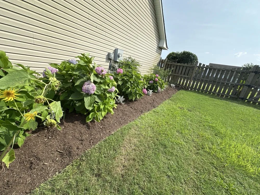 Expert yard cleanup service in Burgaw, NC - Diego’s Lawn Care