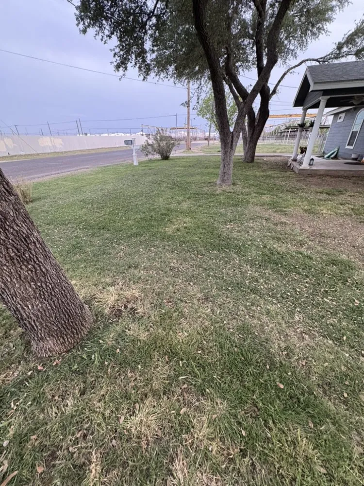 Custom outdoor landscaping in San Angelo, TX - Diego's Lawn Mowing