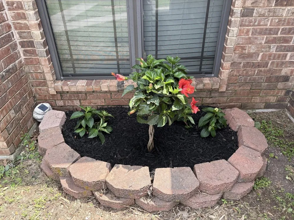 Professional yard cleanup service for outdoor upgrades in San Angelo, TX by Diego's Lawn Mowing