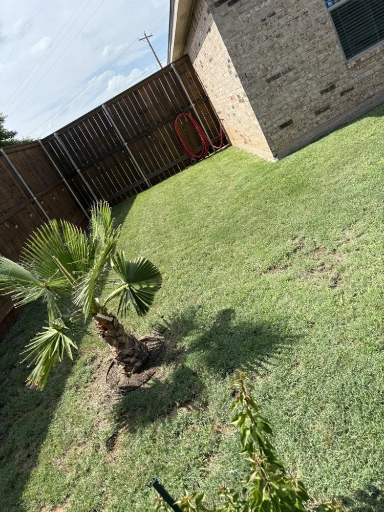 Custom residential landscaping in San Angelo, TX by Diego's Lawn Mowing