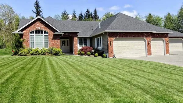 Diego's Lawnmowing Business