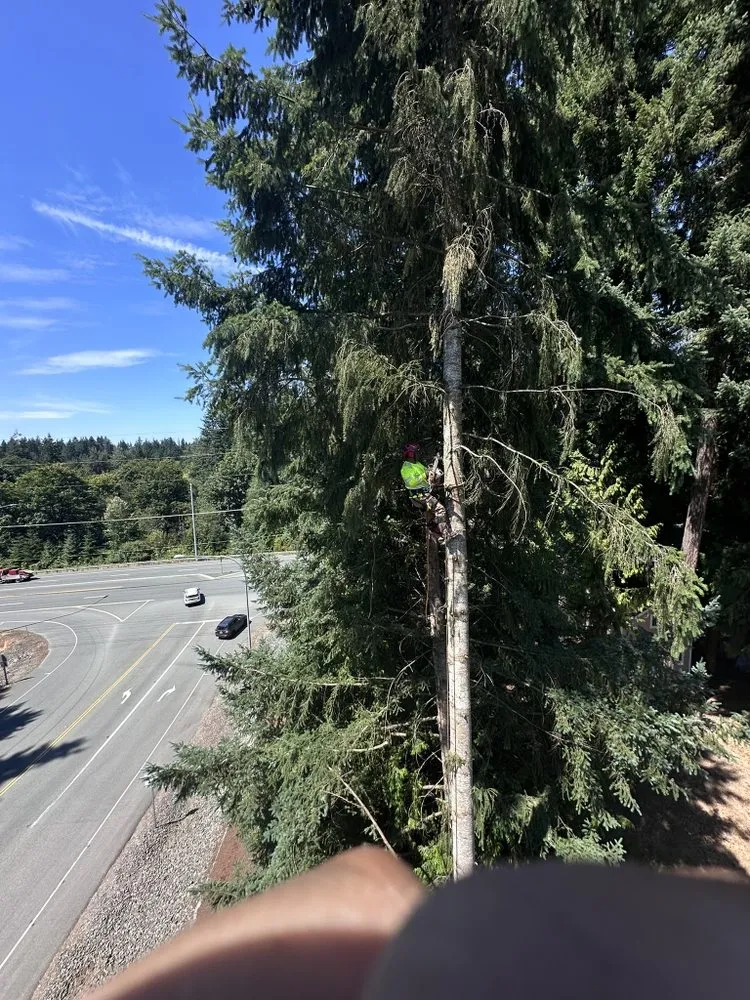 Professional garden landscaping for residential properties in Belfair, WA by Dieguez Tree Services & Landscaping