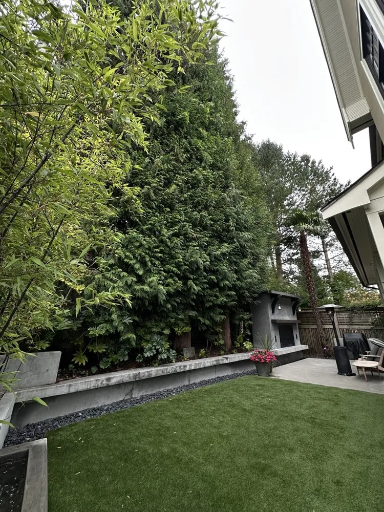 Reliable yard cleanup service in Belfair, WA - Dieguez Tree Services & Landscaping